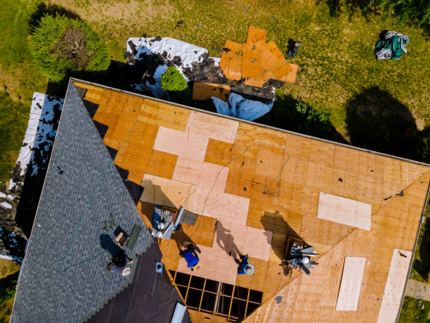 Best Affordable Roof Replacement  in Darmstadt, IN